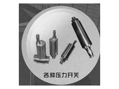 華瑞傳感廠價供應各種壓力開關