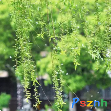 QQ圖片20170508111247