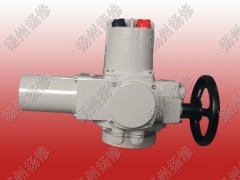 部分回轉(zhuǎn)電動執(zhí)行器DQW90 DQW120 DQ