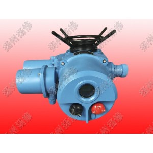 整體調(diào)節(jié)型電動(dòng)執(zhí)行器DZW120-WT DZTZ120