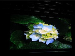 P4室內(nèi)顯示屏一平方有多少像素點數(shù)