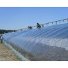 山東優(yōu)惠的溫室大棚，溫室大棚膜廠家