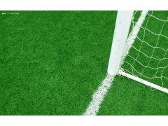 新式的人造草坪|河北華飛體育設施—