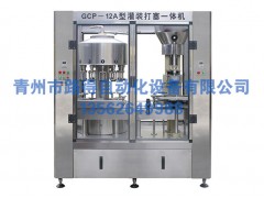 供應(yīng)山東高質(zhì)量玻璃水生產(chǎn)設(shè)備 玻璃