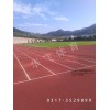 河北優(yōu)良的混合型塑膠跑道供應(yīng)商，熱銷混合型塑膠跑道