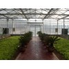 翱翔，優(yōu)質(zhì)農(nóng)業(yè)大棚設(shè)施批發(fā)，生態(tài)餐廳專業(yè)建設(shè)，葡萄溫室大棚