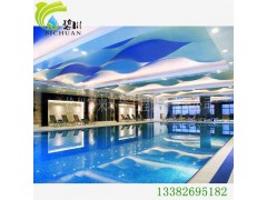 徐州地埋式泳池水循環(huán)處理設(shè)備