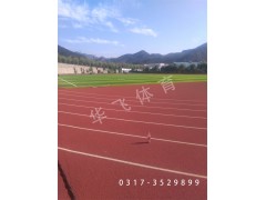 ：寧夏固原市塑膠跑道|塑膠跑道廠家