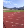 廣東省惠州市塑膠跑道|塑膠跑道廠家價(jià)格|塑膠跑道材料