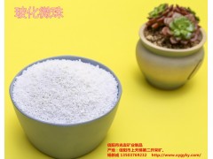 河南好的膨脹珍珠巖服務(wù)商_搶手的珍