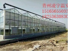 信譽好的溫室廠家--哪里的溫室廠家