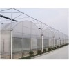 高性價薄膜溫室推薦|山西溫室蔬菜大棚