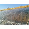淄博具有口碑的塑料大棚膜供應(yīng)-工程地膜價(jià)格