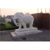 河北知名石象供應(yīng)商 天津石雕大象
