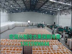 泉州冷庫(kù)保鮮庫(kù)哪家好   宏潤(rùn)興制冷