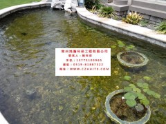 蘇州市小區(qū)景觀河水凈化過(guò)濾循環(huán)增