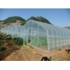 傾銷裝配式單體大棚-優(yōu)質(zhì)裝配式單體大棚選南京多旺溫室工程
