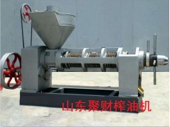 螺旋榨油機(jī)生產(chǎn)廠家專賣店-山東哪家