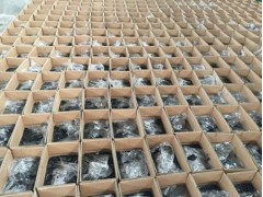 灌縫膠  批發(fā)供應(yīng)廠商熠道科技值得