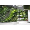 重慶具有口碑的植物墻供應(yīng)，重慶沈陽(yáng)仿真植物墻