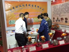 山東環(huán)儀攜HDS壓力測量儀表、溫度測量儀表、變送器等產(chǎn)品亮相2018北京多國儀表展