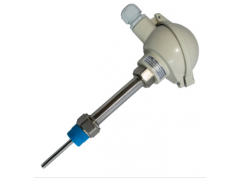 PS8000系列熱電偶 派晟廠(chǎng)家直銷(xiāo)