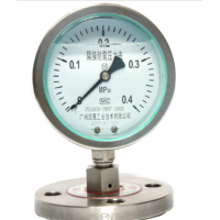 隔膜壓力表 廣州派晟優(yōu)質(zhì)直銷
