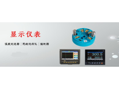 杰克儀表廠價(jià)供應(yīng)數(shù)顯儀表