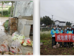 學(xué)習(xí)雷鋒好榜樣，團(tuán)員青年獻(xiàn)愛心