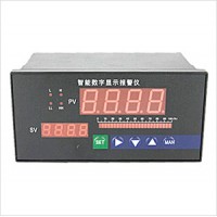 肯創(chuàng)儀表 8點巡檢儀 產品型號： KCXJ-201111