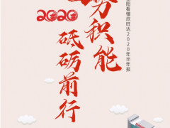 蓄勢積能 砥礪前行 欣旺達2020半年報重磅來襲！