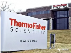 先放過芯片吧，中國這個行業(yè)可能更悲情