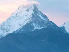 數(shù)字新基建，線上新經(jīng)濟 上海電氣“吸睛”上交會海外展