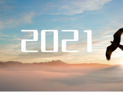 乘“峰”而上，智“盈”未來(lái) 盈峰環(huán)境邁上了2021新征程