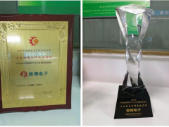 技術(shù)創(chuàng)新 再接再厲 維博電子榮獲“十大電子元件杰出品牌”稱號