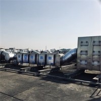 垃圾焚燒發(fā)電煙氣處理活性炭吸附裝置