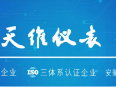 中國環(huán)博會閃耀亮相丨天維儀表與您共創(chuàng)萬物智聯(lián)時代