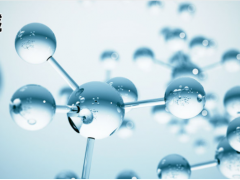 上海儀電科學(xué)儀器總酸及氨基態(tài)氮的全自動(dòng)批量化測定