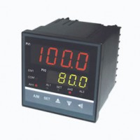 溫州新樂儀器儀表_XWP-D923系列智能雙回路