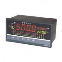 溫州新樂儀器儀表_XWP-MD80系列