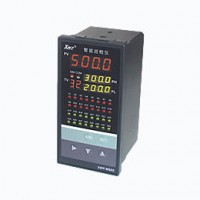 溫州新樂儀器儀表_XWP-MS80系列