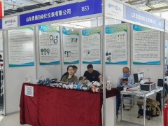 直擊現(xiàn)場丨麥森自動化攜熱電偶、熱電阻、鎧裝加熱器系列彩亮相淄博石油化工展