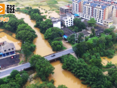 技術(shù)科技 智能檢測 上海儀電飲用水水質(zhì)檢測及消毒劑檢測解決方案