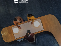 數(shù)字化賦能 上海電氣電站集團“一機一檔”服務平臺首單花落銅陵電廠