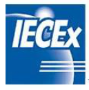 儀器儀表認(rèn)證標(biāo)識(shí)(二)(圖6)