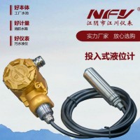 江川儀表投入式液位計(jì)
