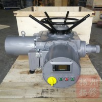 整體型執(zhí)行器DZZ90-18W扭矩900NM廠家直供