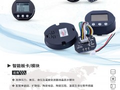 皖科智能攜帶攜帶智能板卡及智能模塊產(chǎn)品入駐《儀表與測量控制》2021年第5期之物聯(lián)網(wǎng)及傳感器展特刊