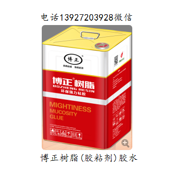 中底膠博正樹脂