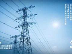 錨定“雙碳”目標(biāo)，大華股份蹄疾步穩(wěn)踐行綠色發(fā)展